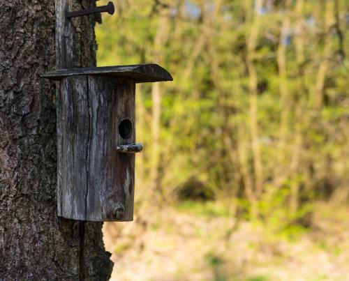 Agroturismo Chalupa U ?�p? S Wellness