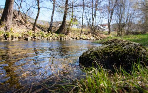 Agroturismo Chalupa U ?�p? S Wellness