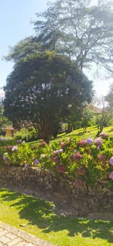 Casa De Campo Agrad�vel Em Visconde De Mau�
