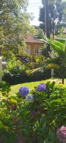 Casa De Campo Agrad�vel Em Visconde De Mau�