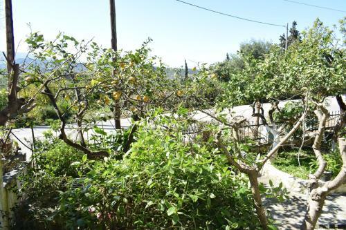 Ntana's House Bohali Zakynthos