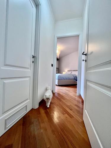 Apartamento Ad Home Mare ( Citra 010025-lt-2622 )