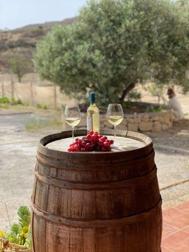 Finca Olivo 1-bed House& Mountain