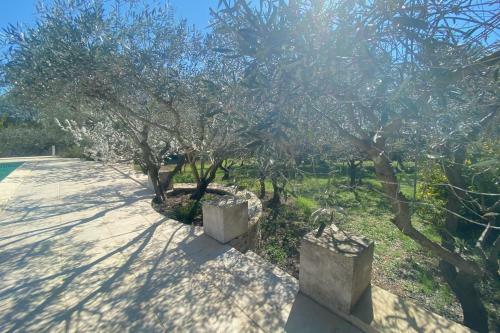 La Maison Des Oliviers - Haven Of Peace