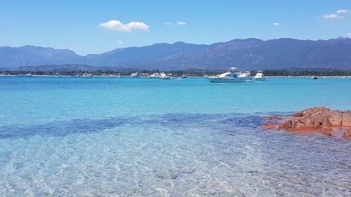 Apartment In Porto Vecchio 6 People With 2 Bathrooms