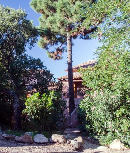 Apartment In Porto Vecchio 6 People With 2 Bathrooms