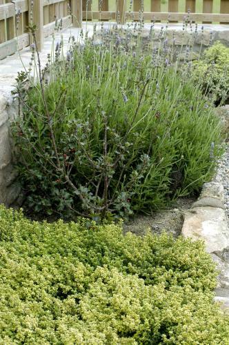 Casa Tomas