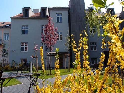 Hostal Centrum Salvator