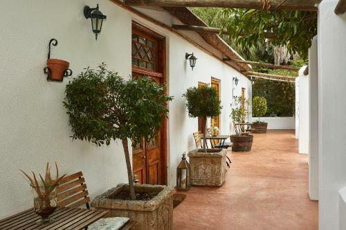 Hostal Yellow Aloe