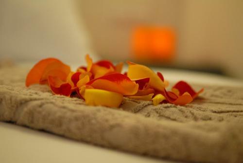 Riad Hotel & Spa Dar Bensouda