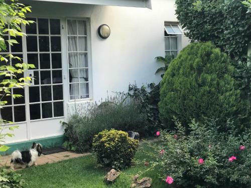 Bed & Breakfast Rosewood Corner, Clarens