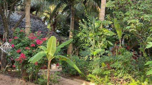 Hotel Atii Garden Bungalows