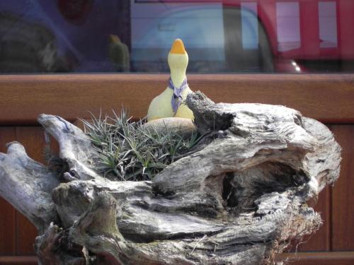 Hostal O Lar De Carmi�a