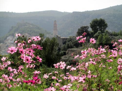 Bed & Breakfast Shar�qua