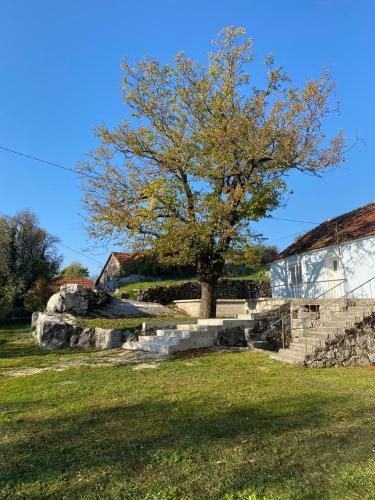Apartamento Oaza Mira - Zen