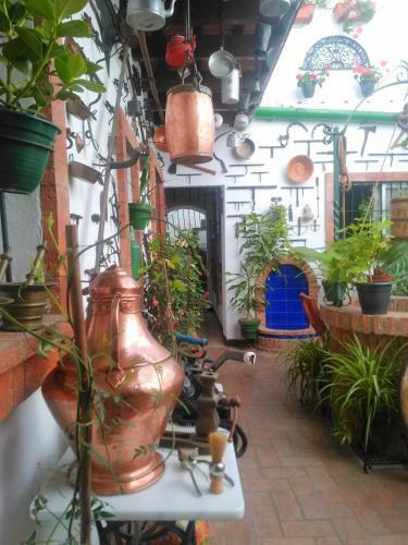 Apartamentos Jerez Centro