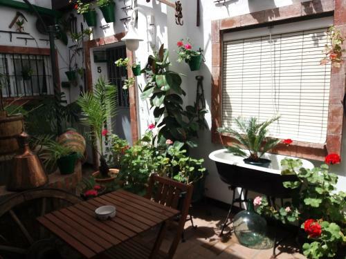 Apartamentos Jerez Centro