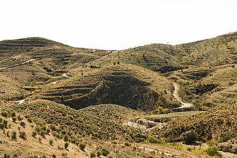Cortijo Los Nopales