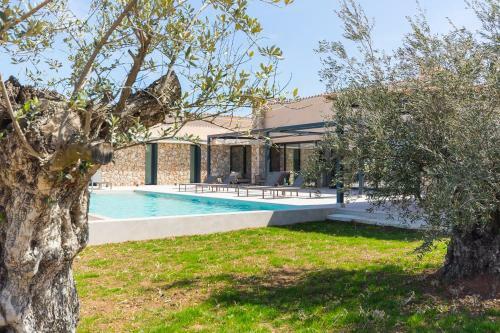 Villa Pura Vida Petit