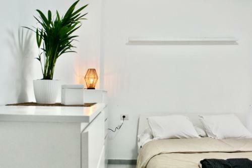 Charco San Gin�s Apartment
