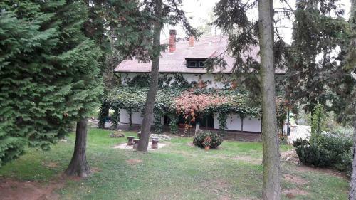 Bed & Breakfast Vad�szh�z