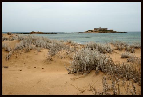Maravola Home On The Beach, Parking & Wifi