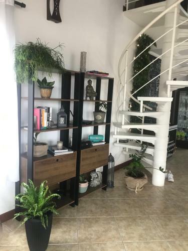 Villa Casa Palmer - Pura Energia