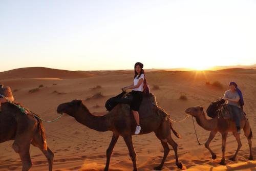 Night Desert Luxury Camp