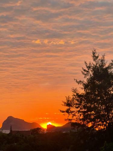 Bed & Breakfast Outlander Mountainview Tourist Inn