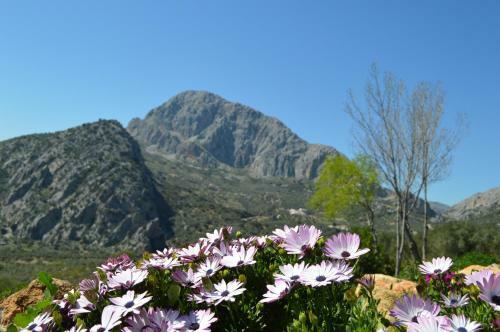Villa Cortijo Pulgar�n Bajo