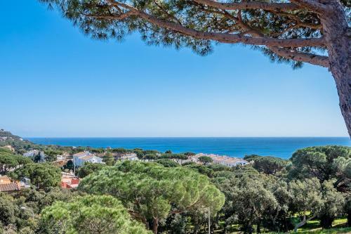 Apartamento D-10 Calella De Palafrugell 7 Pax