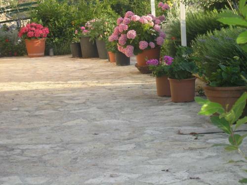 Apartamentos Villa Botanica