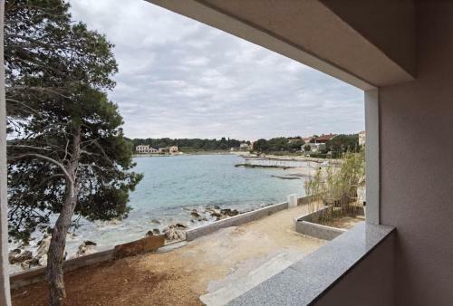 Apartments By The Sea Ugljan - 19580