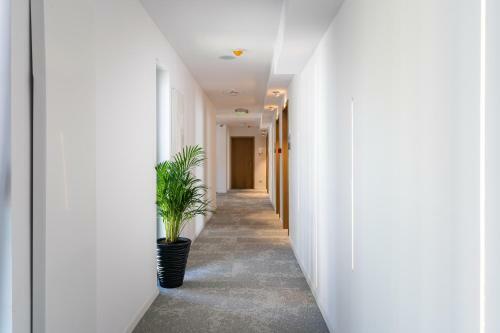 Hotel Poeme Mamaia Retreat