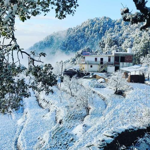 Hilltop Retreat Mukteshwar Homestay