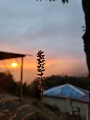 Hotel The Kanatal Arbour