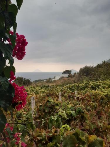 Casa Mary - Monolocale Panoramico In Centro A Malfa