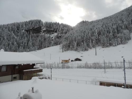 Apartamentos Chalet Schwendiboden