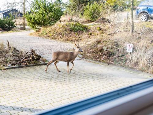 Holiday Home N�rre Nebel Cxiii