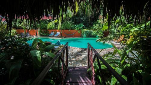 Hotel El Peque�o Gecko Verde