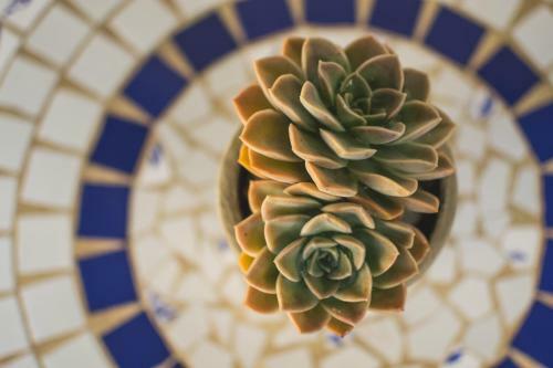 The Post House Hotel