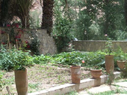 Bed & Breakfast Kasbah Restaurant Amazir
