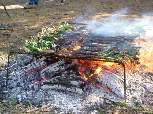 Camping Can Fosses
