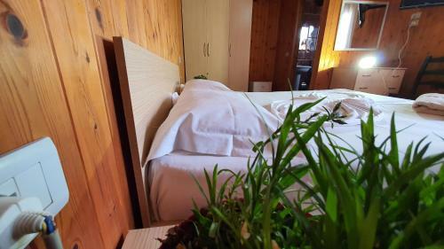 Hotel Seaside Bungalows