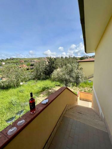 Agroturismo B&B Vini Marino - Appartamenti
