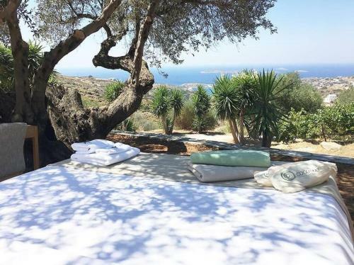 Villa Andros Eco Lodge