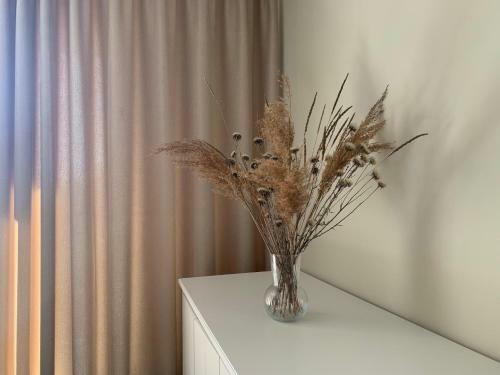 Charming Apartment In Central Klaipeda