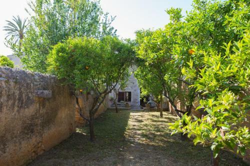 Agroturismo Es Pla De Llodr�