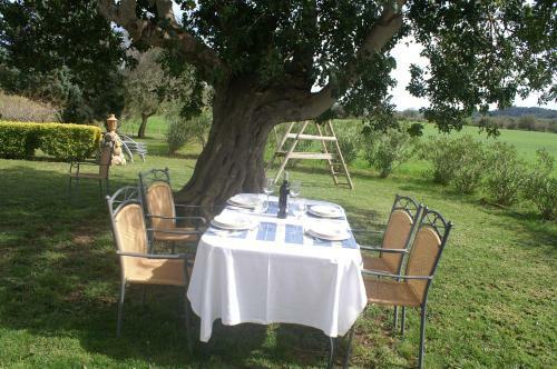 Agroturismo Es Pla De Llodr�