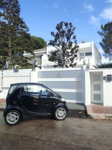 Hostal B&B Magnolia Bari